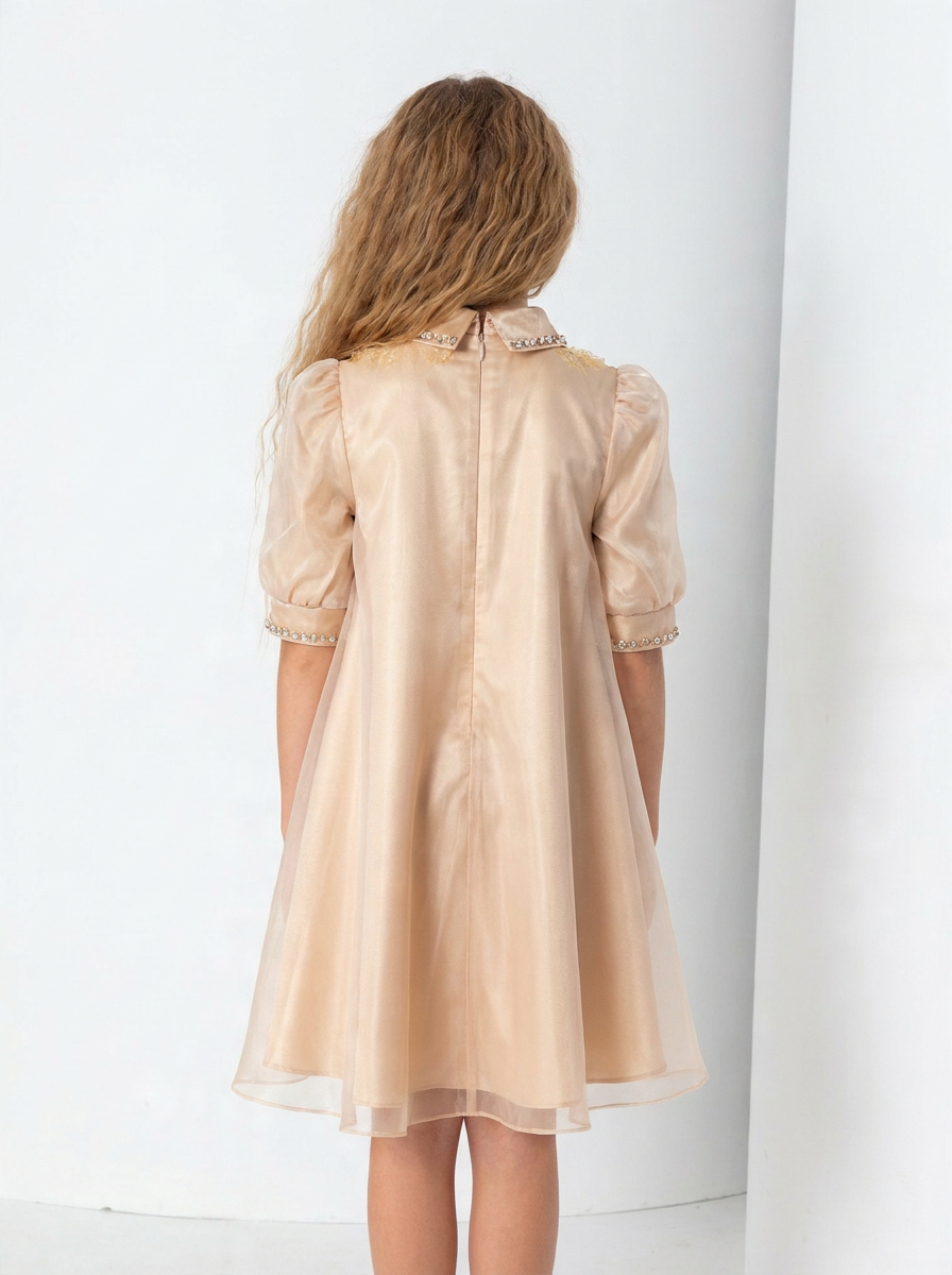 Golden Hour Organza Dress
