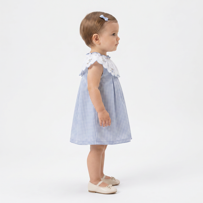 Garden Gingham Dress