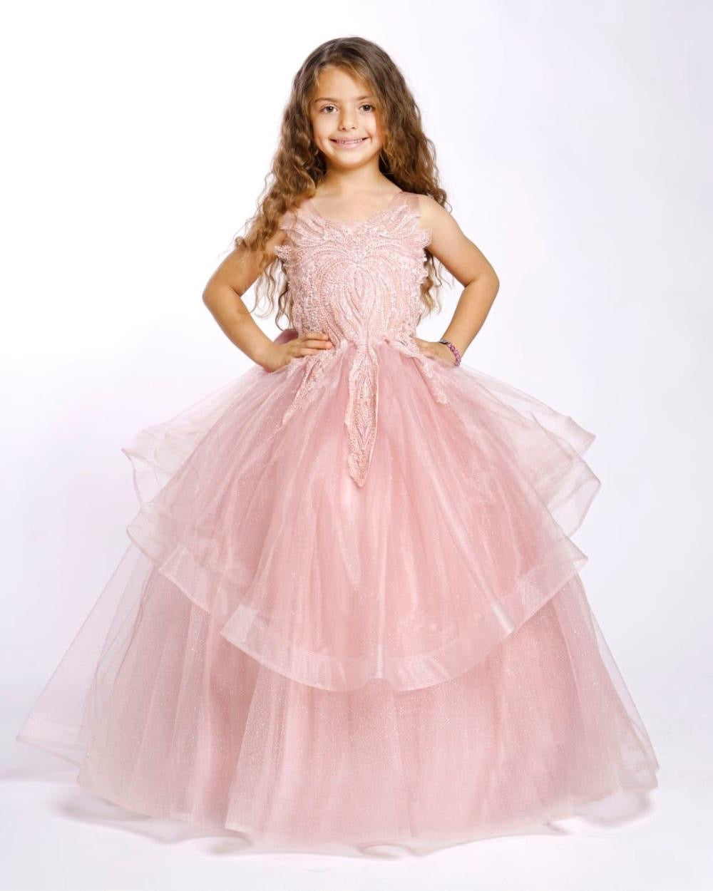 Embroided Tulle Princess Dress