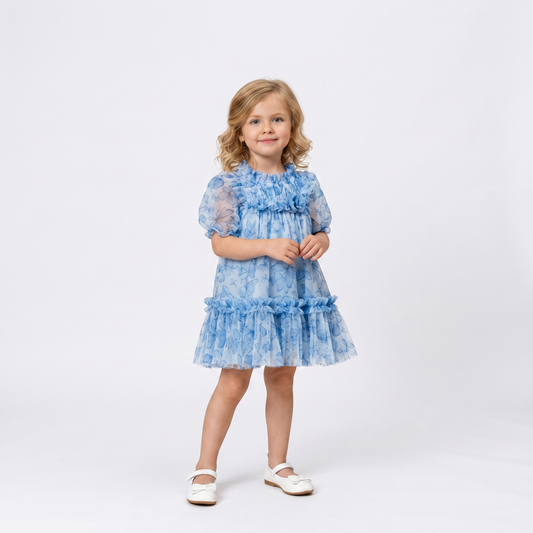 Blue Butterfly Tulle Dress