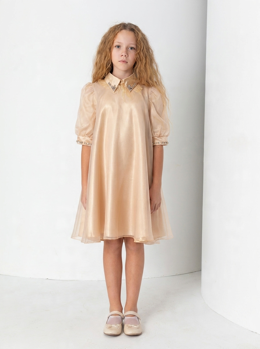Golden Hour Organza Dress