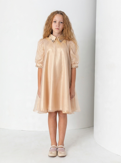 Golden Hour Organza Dress