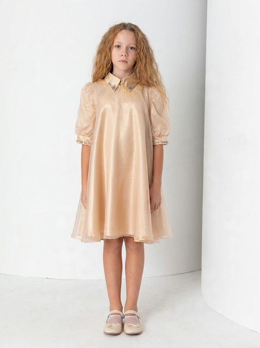 Golden Hour Organza Dress
