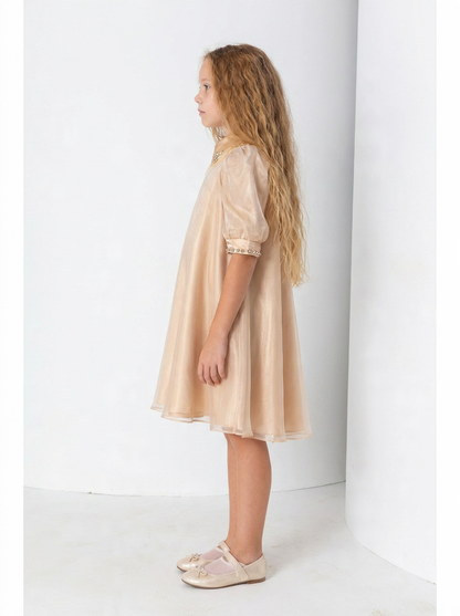 Golden Hour Organza Dress