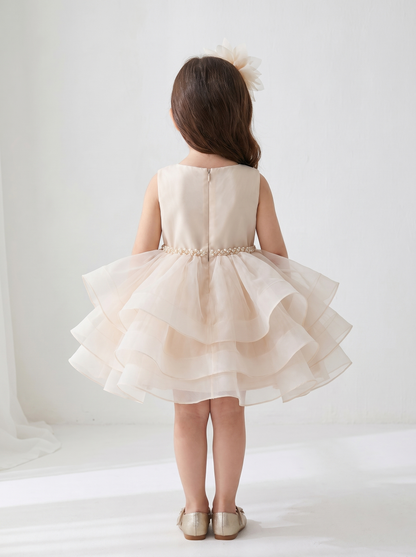 Little Princess Layered Tulle Dress – Champagne