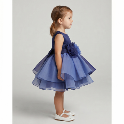 Midnight Rose Layered Organza Dress