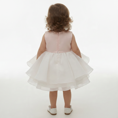 Rose Garden Layered Organza Dress