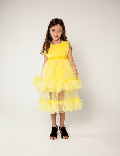 Yellow rose