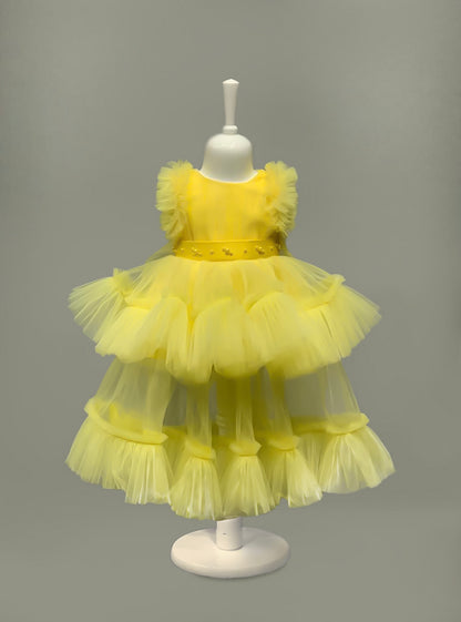 Yellow rose
