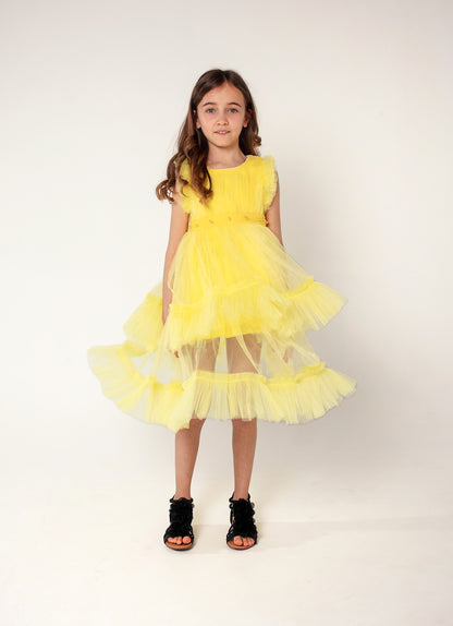 Yellow rose
