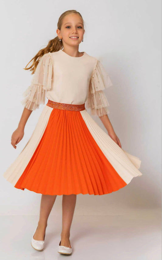 Colourful Pleated Soley Skirt